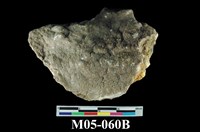 藏品(北投石)的圖片